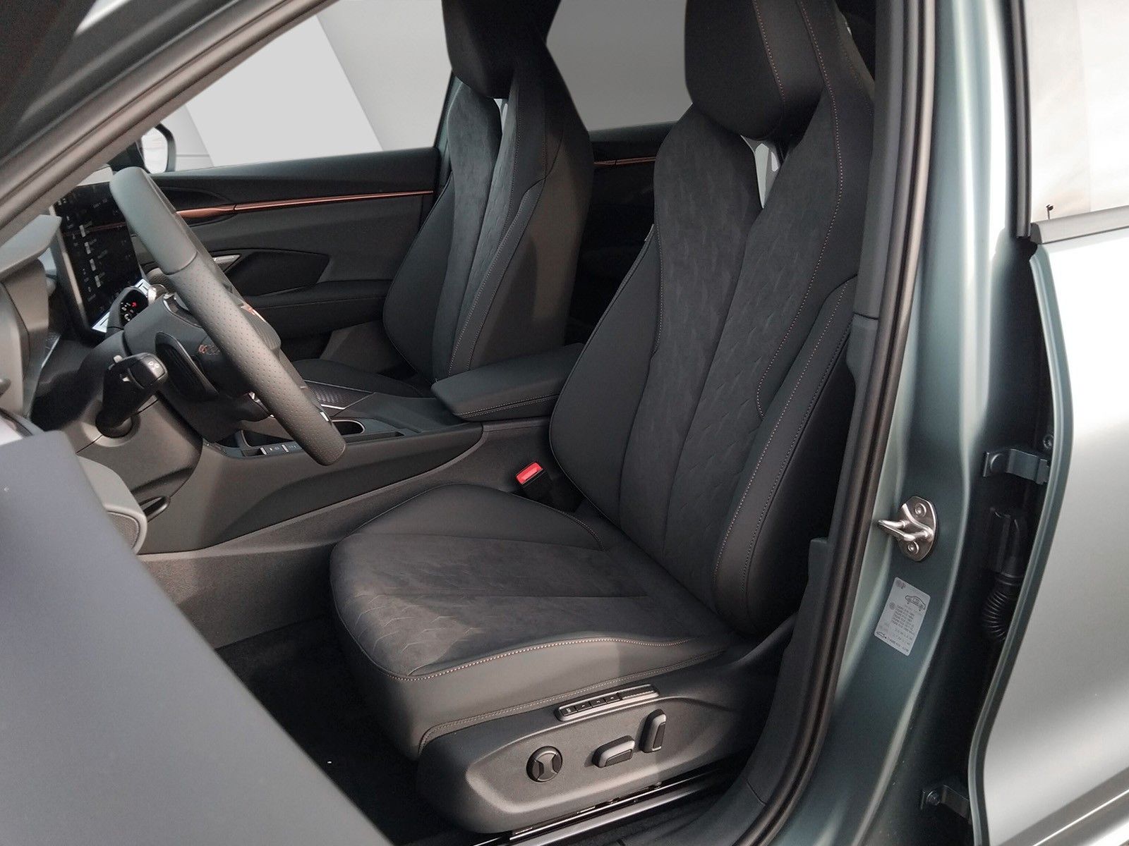 Fahrzeugabbildung CUPRA Terramar 2.0TSI VZ 20"Pano.AHK