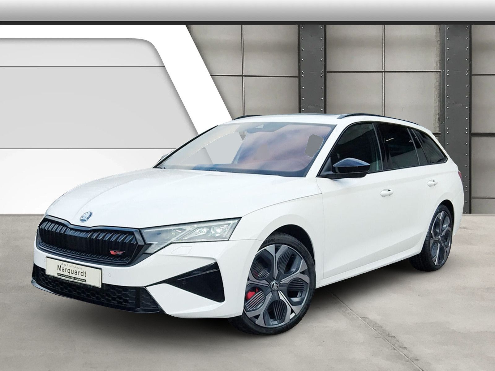 Fahrzeugabbildung SKODA Octavia Combi 2.0TSI RS 19"AHK PanoStandh.Canton