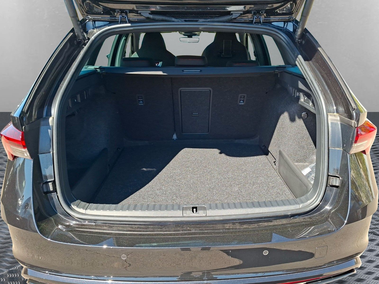 Fahrzeugabbildung SKODA Octavia Combi 2.0TSI RS 19"AHK PanoStandh.Leder