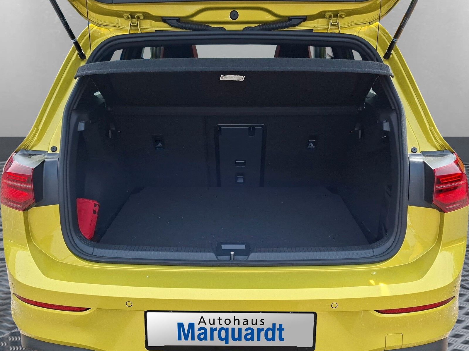 Fahrzeugabbildung Volkswagen Golf VIII Lim. GTI Matrix Headup Pano 18"Sound