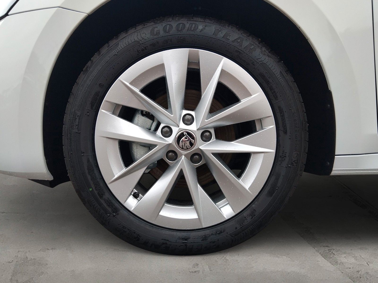 Fahrzeugabbildung SKODA Octavia Combi 2.0TSI 4x4 AHK Standh.Pano Side