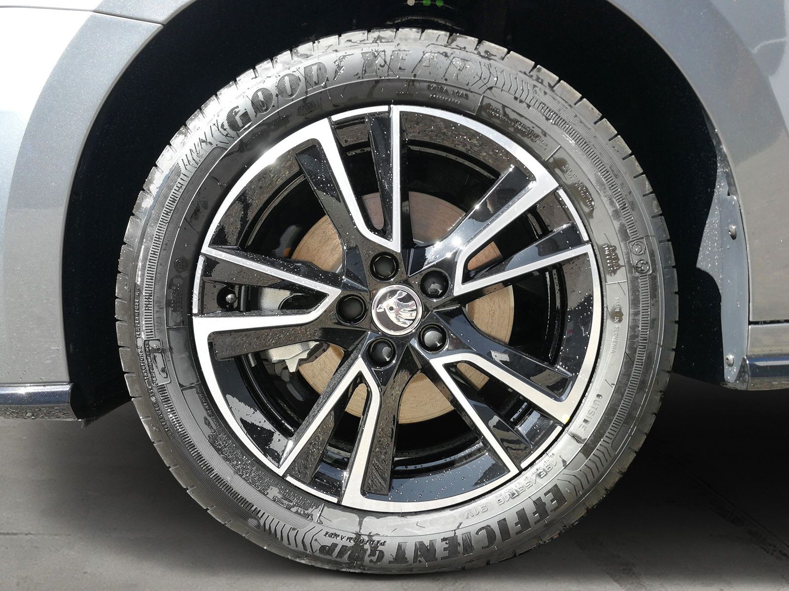 Fahrzeugabbildung SKODA Fabia 1.5TSI Monte Carlo ACC heizbFront Kamera