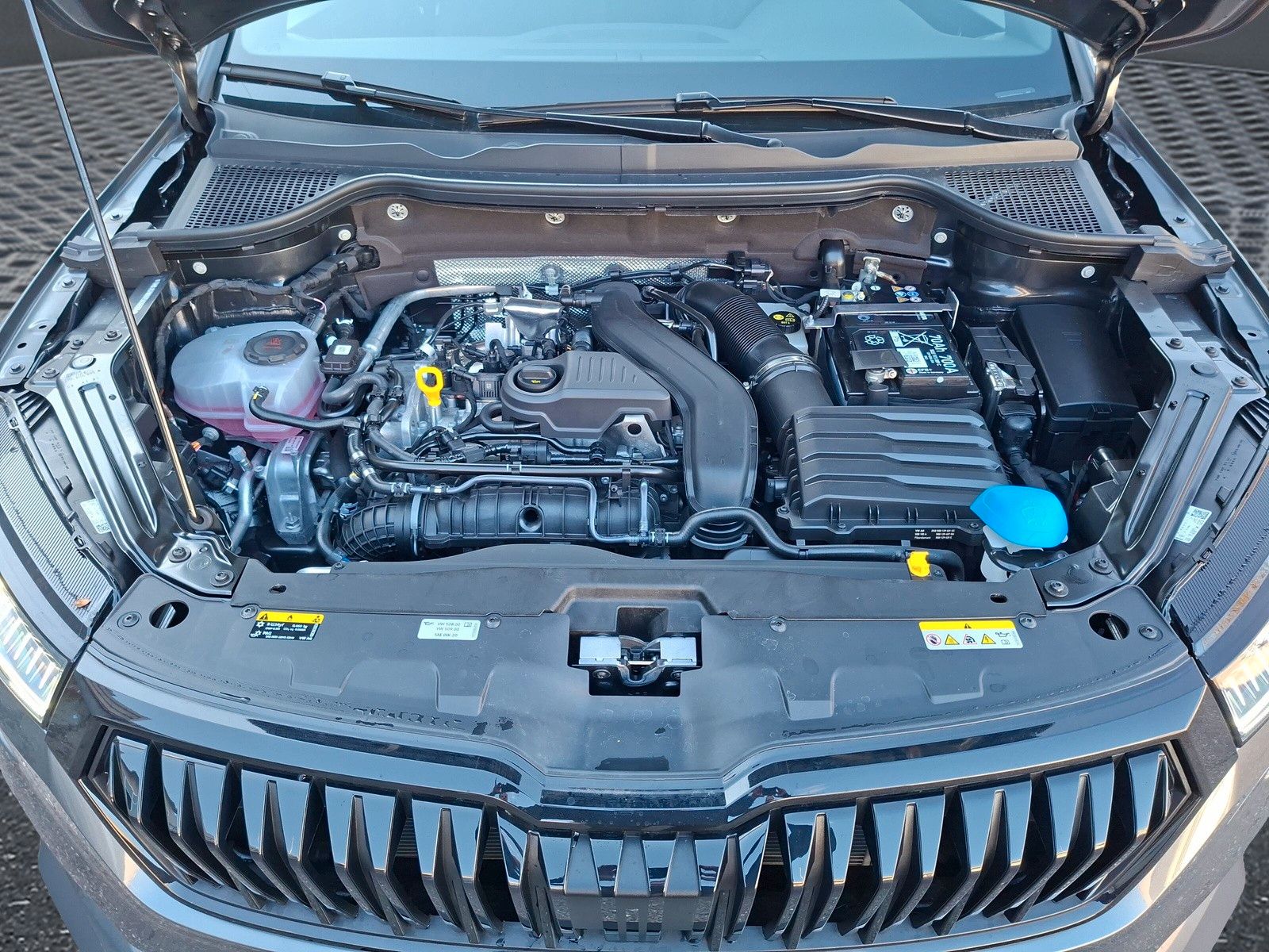 Fahrzeugabbildung SKODA Karoq 1.5 TSI Sportline Pano AHK Matrix 19" Side