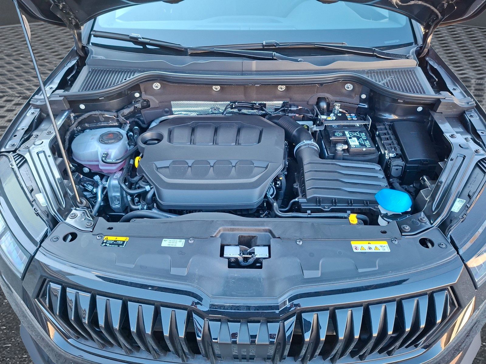 Fahrzeugabbildung SKODA Karoq 1.5TSI Sportline Pano AHK Matrix 19"Side