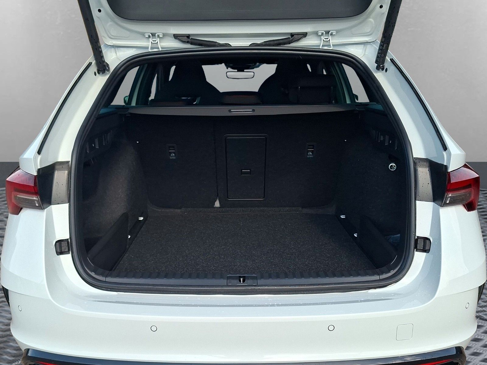 Fahrzeugabbildung SKODA Octavia Combi 2.0TSI RS 19"AHK PanoStandh.Canton