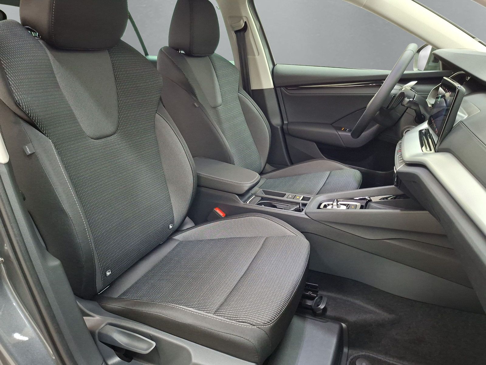 Fahrzeugabbildung SKODA Octavia Combi 2.0TSI 4x4 AHK Standh.Pano Side