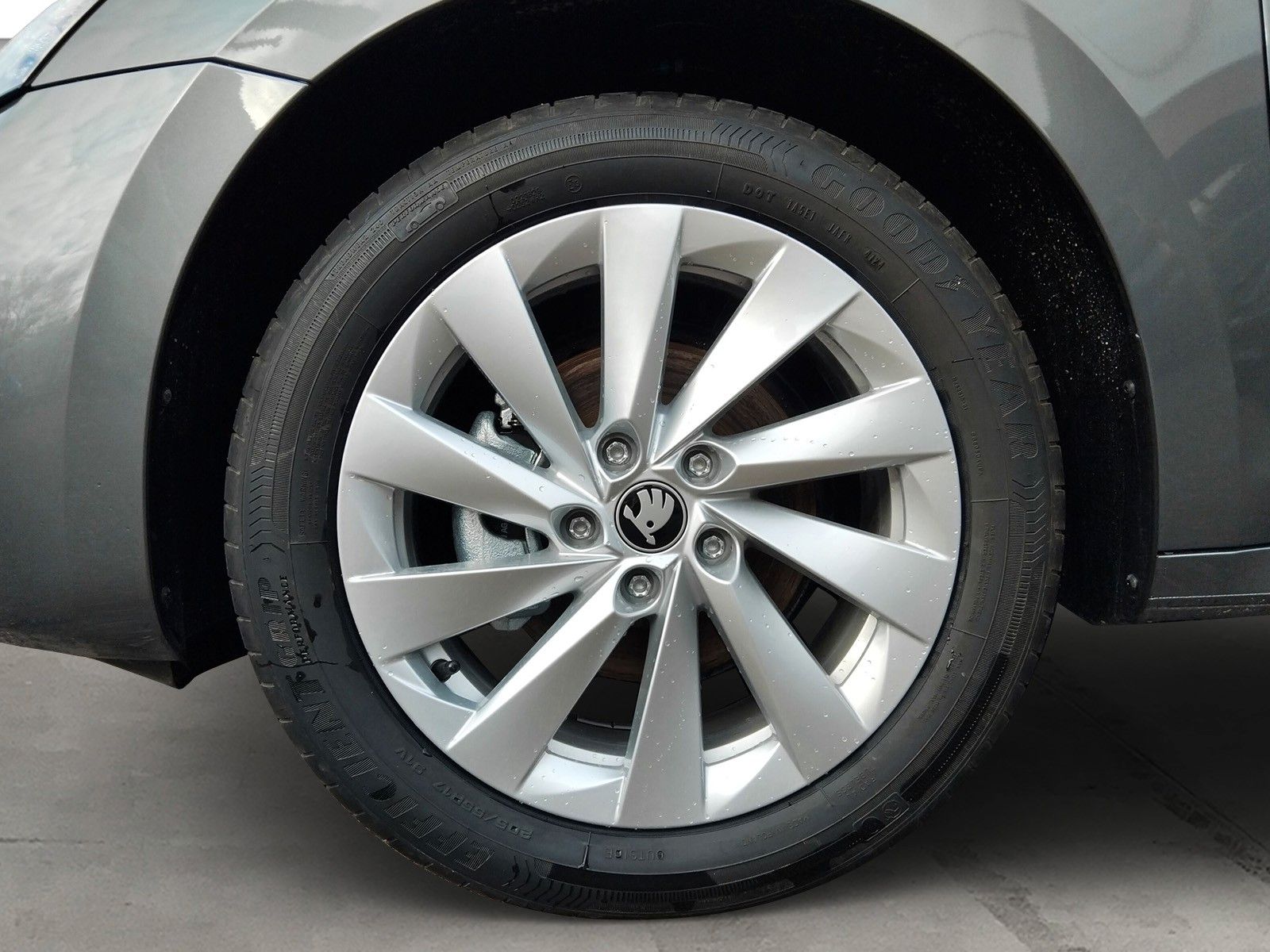 Fahrzeugabbildung SKODA Octavia Combi 2.0TSI4x4 AHK Standh.Panorama Side
