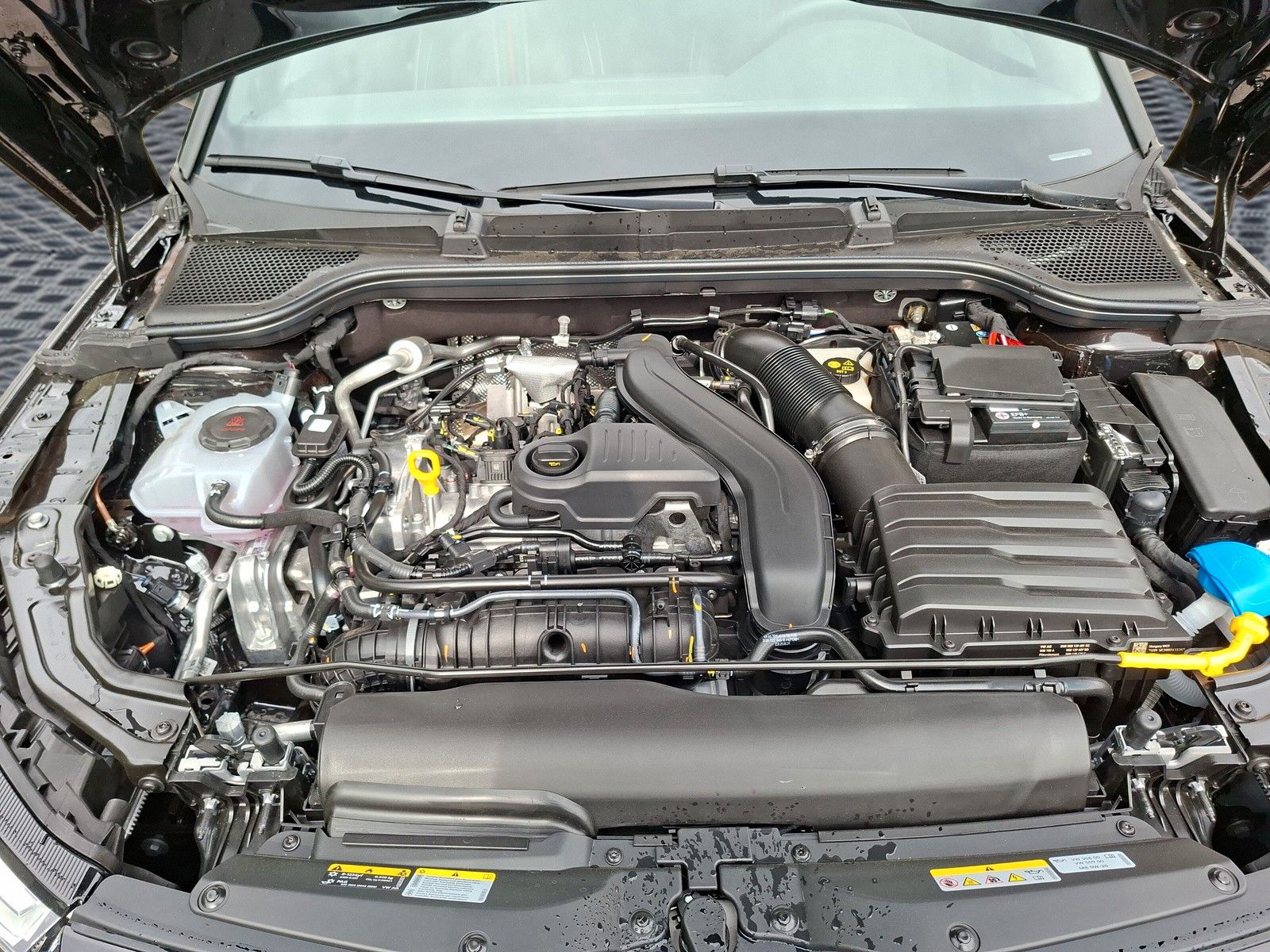 Fahrzeugabbildung SKODA Kamiq 1.5TSI Monte Carlo 18"eHeck AHK ACC Side